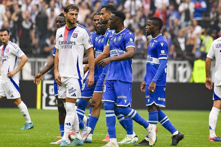 杏彩体育在线-昂热击败对手，法甲保级形势一片明朗的简单介绍