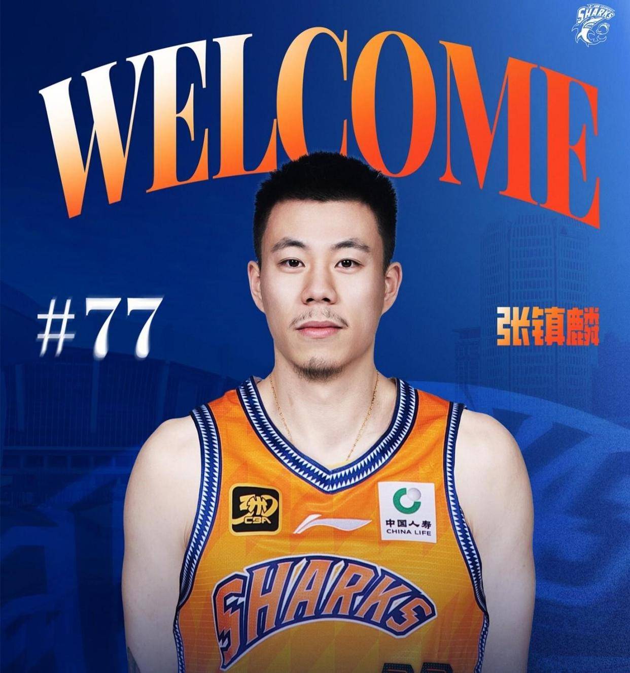 杏彩体育地址-辽宁男篮大比分胜出，夺得重要胜利