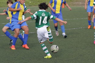 杏彩体育网页版登录入口-沃尔夫斯堡客场逆袭战胜对手，取得胜利